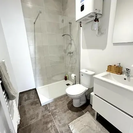 Appartement La Cornaline - Romans-sur-isère Romans-sur-Isère